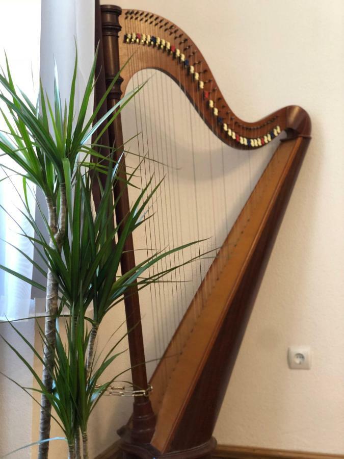 Musik Apartments Old Town Сибиу Екстериор снимка