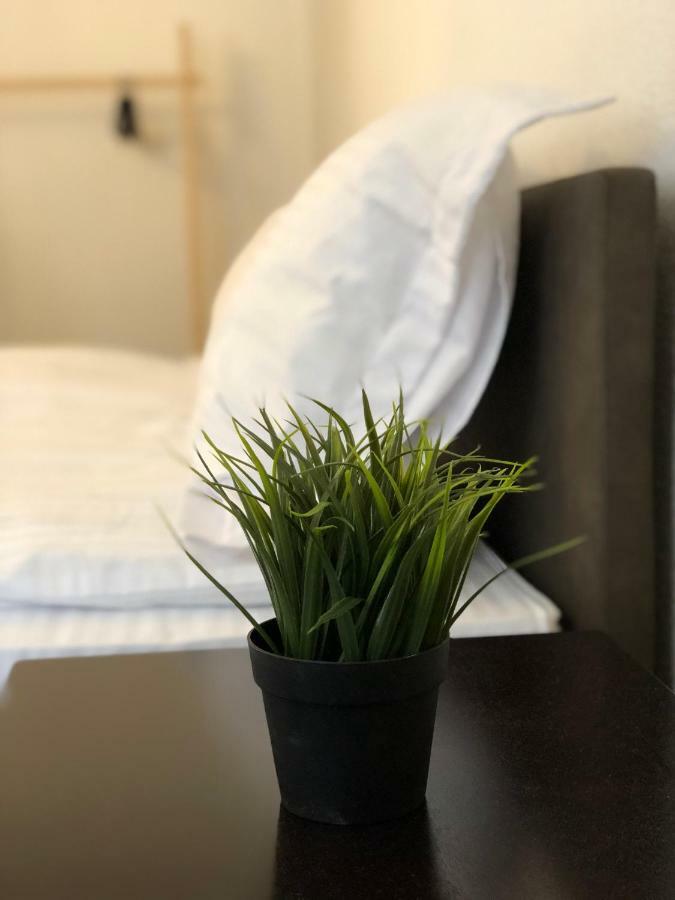 Musik Apartments Old Town Сибиу Екстериор снимка